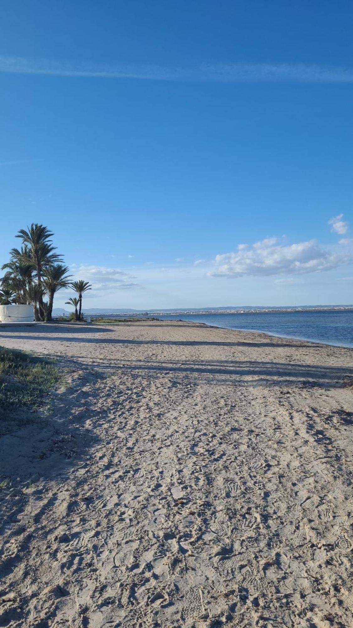 Appartement Beachfront *